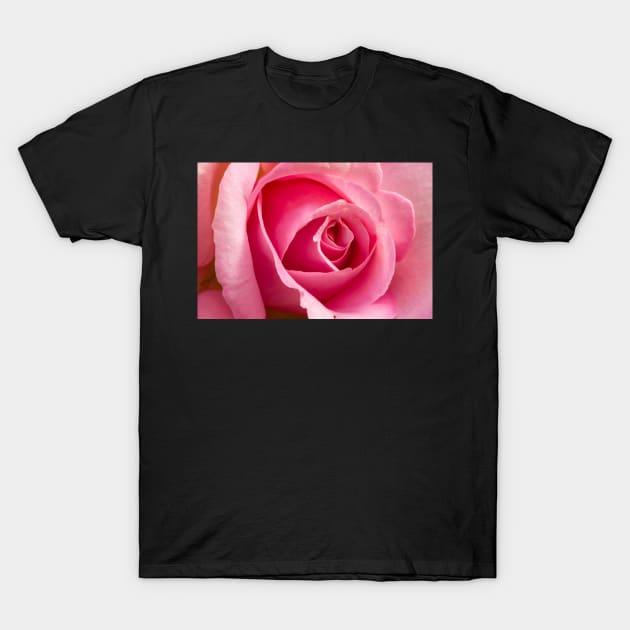 Rose T-Shirt by jvnimages